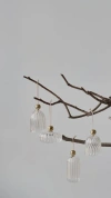 Fleck Bon Ornaments In Transparent