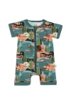 Fletch Lake Days Shorties In Multi