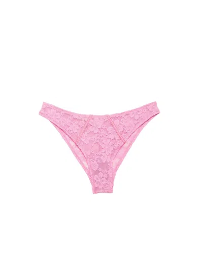Fleur Du Mal Le Stretch Lace Cheeky In Pink
