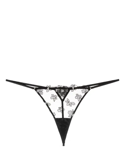 Fleur Du Mal Floral-embroidered Mesh-panel Thong In Black