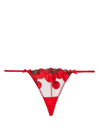 FLEUR DU MAL POMODORO EMBROIDERED V-STRING