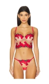Fleur Du Mal X Revolve Tomato Embroidery Longline Bra In Sauce