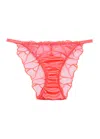 Fleur Of England Cleo Embroidered Tulle Briefs In Bright Pink