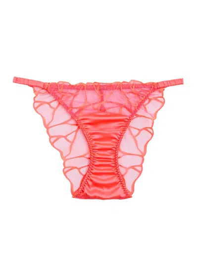 Fleur Of England Cleo Embroidered Tulle Briefs In Bright Pink