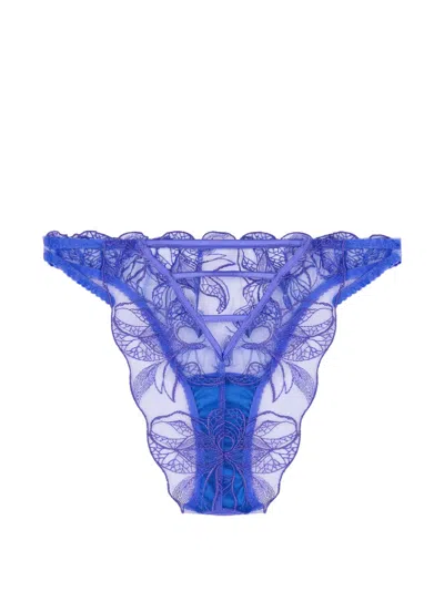 Fleur Of England Iris Brazilian Floral-embroidery Brief In Blue