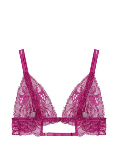 Fleur Of England Paloma Lace Bra In Pink