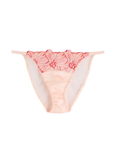 Fleur Of England Rosa Panelled Tulle Briefs In Pink