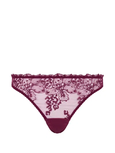 Fleur Of England Viola Floral-embroidered Briefs In Red