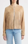 Fleurette Chloe Suede Fringe Jacket In Brown