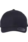 Flexfit Nu Cap In Black