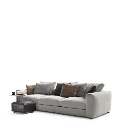 Flexform Asolo Sofa In Gray
