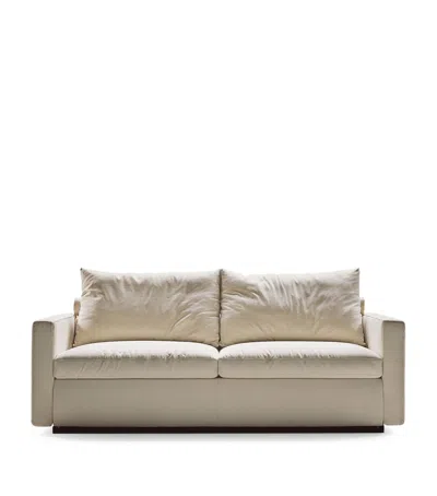 Flexform Gary Sofa Bed In Neutral