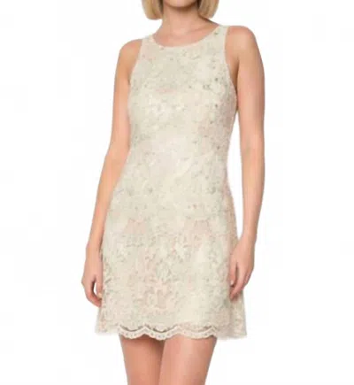 Flora Bea Ellis Mini Dress In Luxe Lace In White
