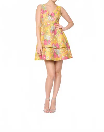 Flora Bea Terina Dress In Sunshine State In Multi