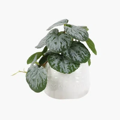 Flora Bunda 10.25'' Artificial Philodendron Plant In Pot In Green