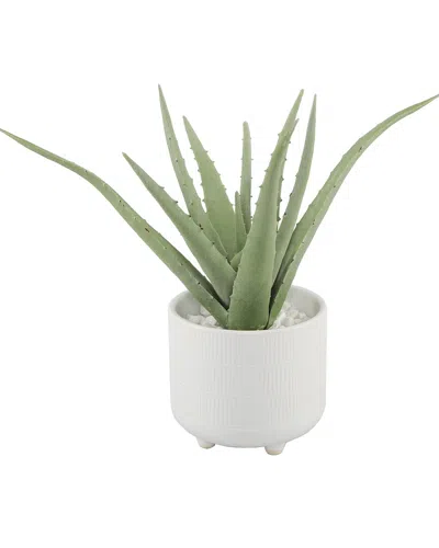 Flora Bunda 10in Aloe In 5in Barcode Footed Ceramic In White