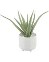 Flora Bunda 10in Aloe In 5in Barcode Footed Ceramic In White