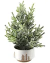 Flora Bunda 11.5in Frosted Xmas Tree In 4in Reversed Bowl Pot In White