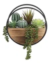 Flora Bunda 11in Round Wood & Metal Wall Succulent Mix In Brown