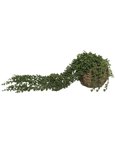 Flora Bunda 12in Artificial Thistle Stems In Ivory Ceramic Vase In White