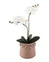 Flora Bunda 13in Real-touch Orchids In 4.75in Floral Pot In White