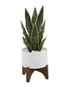 Flora Bunda 15.5inh Snake Plant In 5in Caveman Ceramic Planter Onstand In White