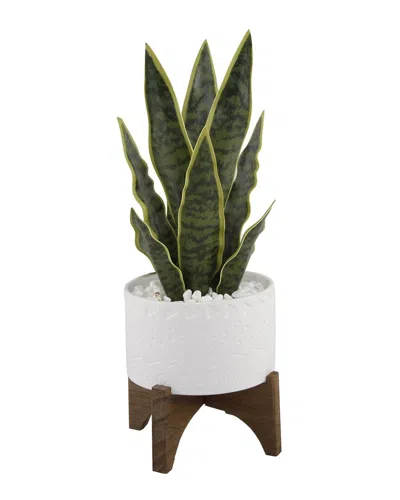 Flora Bunda 15.5inh Snake Plant In 5in Caveman Ceramic Planter Onstand In White