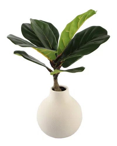 Flora Bunda 15in Fig Leaf In Ceramic Vase In White
