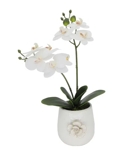 Flora Bunda 15in Real-touch Orchid In Cermaic Vase In White