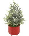 Flora Bunda 18.5in H Frosted Xmas Tree In 6in Cracker Ceramic Footed Pot In Red