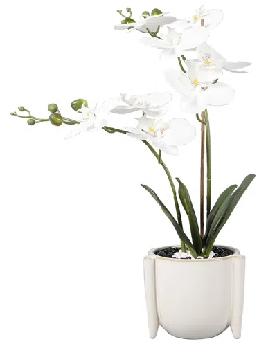 Flora Bunda 18in Real-touch Orchids In Ceramic Planter In White