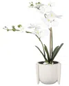 Flora Bunda 18in Real-touch Orchids In Ceramic Planter In White