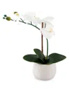 FLORA BUNDA 2-PIECE ARTIFICIAL ORCHID PLANT & MAYAN CERAMIC POT SE