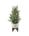 Flora Bunda 20in H Frosted Xmas Tree In 6in Staghead Ceramic On Wood Stand In White,green-plants