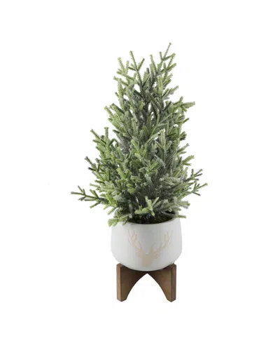 Flora Bunda 20in H Frosted Xmas Tree In 6in Staghead Ceramic On Wood Stand In White