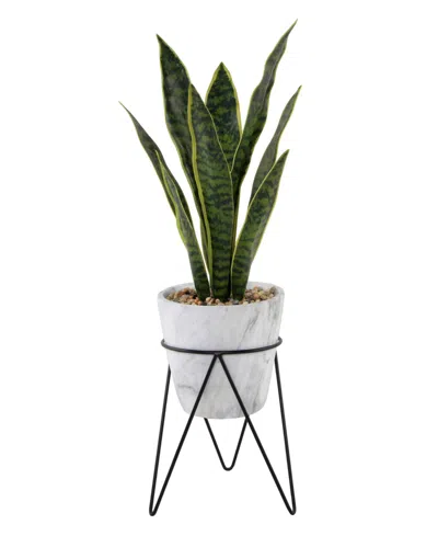 Flora Bunda 1.75ft Snake Plant In Marble Pot With Metal Stand In White