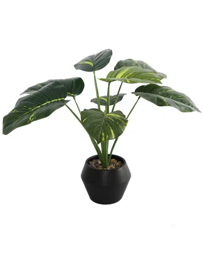 Flora Bunda 22in Traveler's Palm In 8in Geo Ceramic Planter In Black