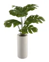 Flora Bunda 24in Palm In 10.5in Textured Ceramic Vase In White