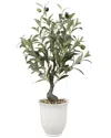 Flora Bunda 25.5in Olive Tree In Texture Ceramic Planter In White