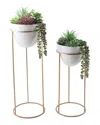 Flora Bunda 36in & 29in Succulent Mix In Ceramic Pots With Gold Metal Stands In White