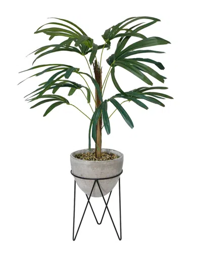 Flora Bunda 40in Switch Cane Palm In Cement Planter On Metal Stand In Grey