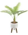 Flora Bunda 41in Palm In 10in Tribal Fiberglass On Stand In White