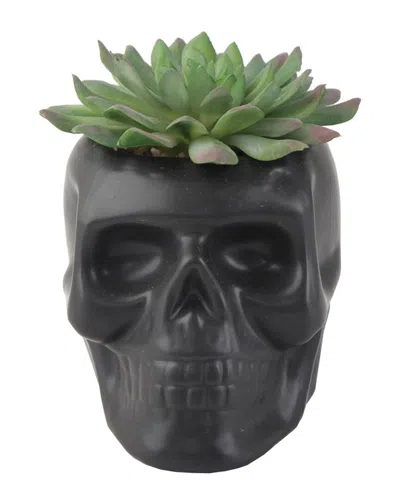 Flora Bunda 4.5x3.5 Ceramic Sugar Skull Succulent In Black