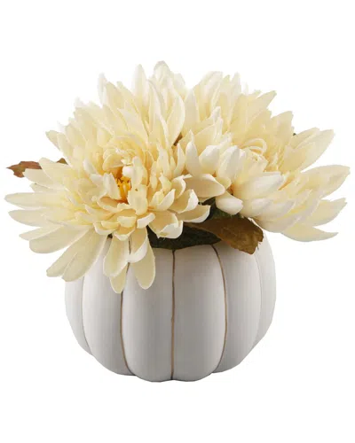 Flora Bunda 4in Ceramic Pumpkin Mums In White
