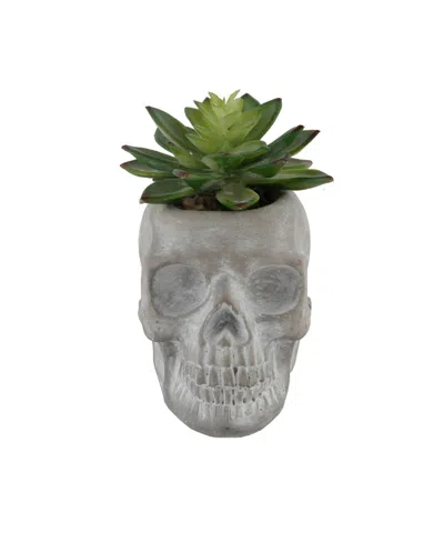 Flora Bunda 5" Artificial Succulent In Cement Sugar Skull In Gray