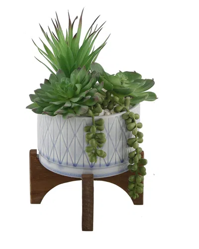 Flora Bunda 5in Succulent Mix In Diamond Ceramic Planter On Stand In Blue