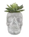 Flora Bunda 5x3.2 Succulentin Cement Sugar Skull In Gray