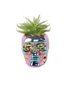 Flora Bunda Succ In Metalic Iridescent Skull In Metallic Iridescent,green-succulent