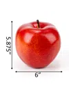 Flora Bunda Big Apple E Pack, 6" In Green