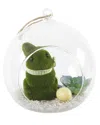 Flora Bunda Easter Bunny Terrarium In Green